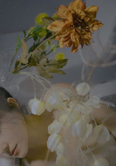 农村寡妇毛片免费看_高清在线播放观看